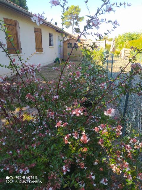 Villa Nancea Maison Arcachon Gujan-Mestras Luaran gambar